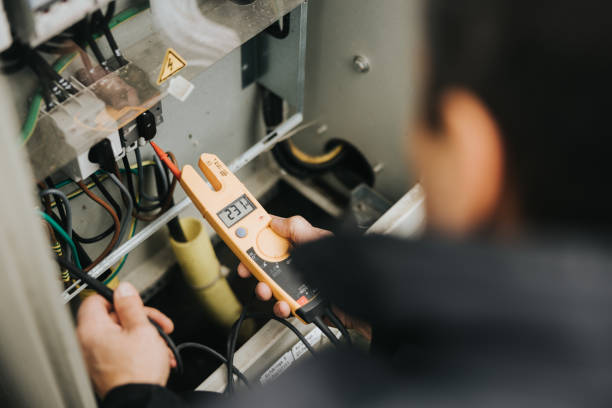 Best Electric Panel Repair  in Ridge Wood Heights, FL